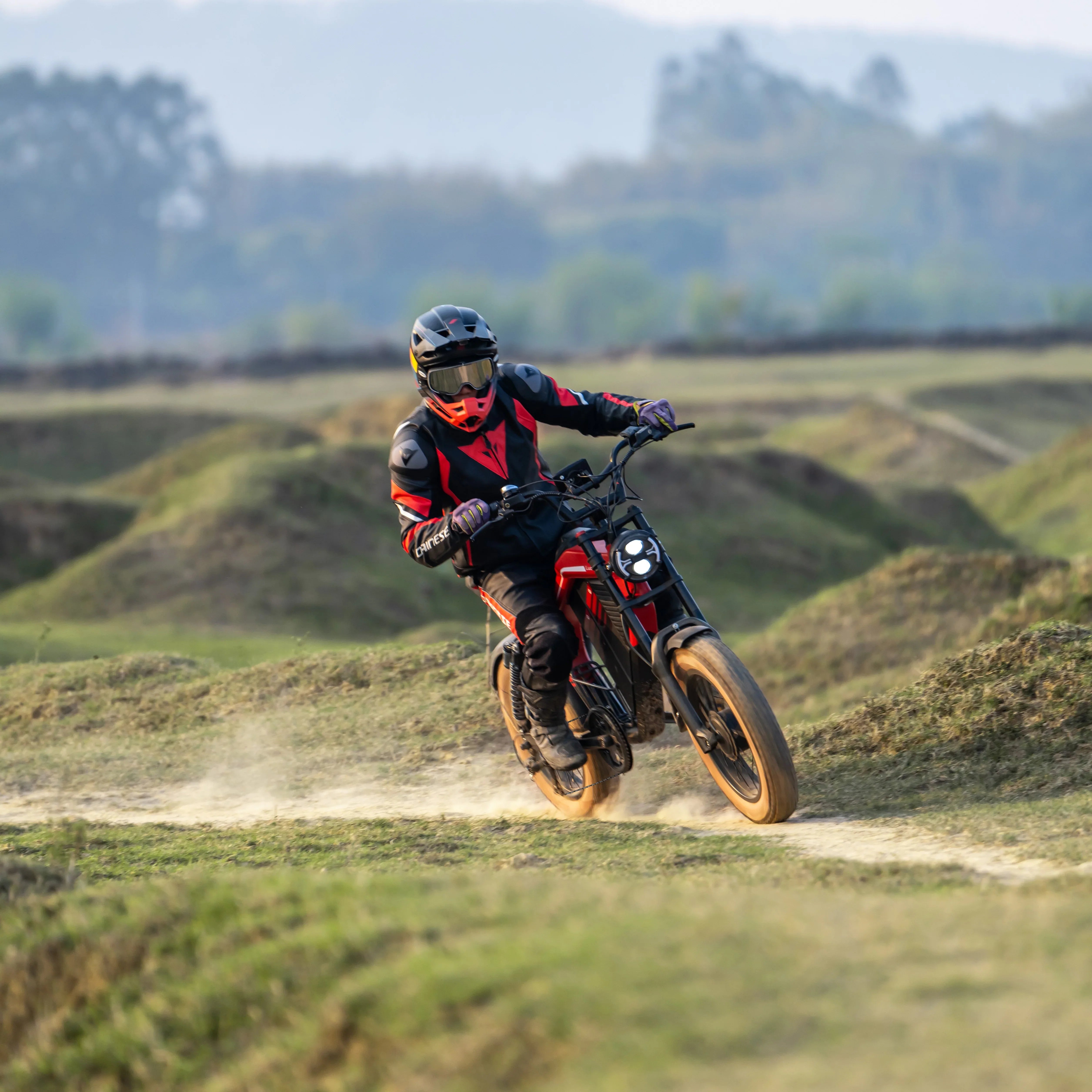 Off-Road E-Bikes