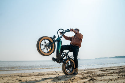 VELTRON X3 STEP-THRU FAT TIRE